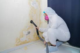 Best Mold Removal for HVAC Installations  in Howard, WI